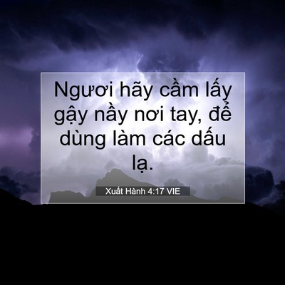 Picture 07 - Xuất Hành 4:17 VIE - Ngươi hãy cầm lấy gậy nầy nơi tay, - Bible Verse Picture
