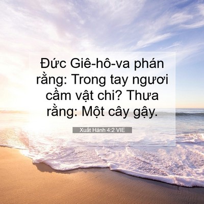 Picture 07 - Xuất Hành 4:2 VIE - Đức Giê-hô-va phán rằng: Trong tay - Bible Verse Picture