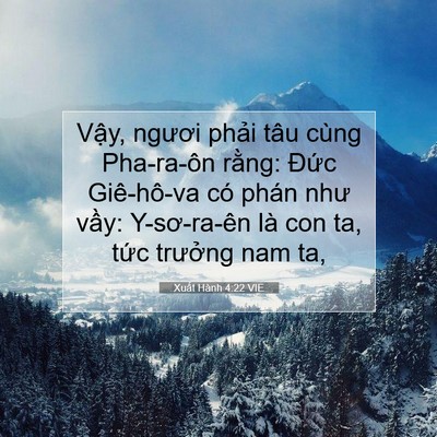 Picture 07 - Xuất Hành 4:22 VIE - Vậy, ngươi phải tâu cùng Pha-ra-ôn - Bible Verse Picture