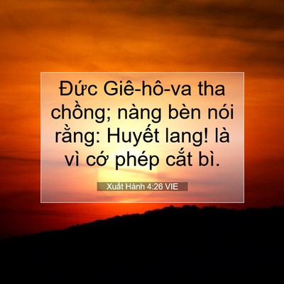 Picture 07 - Xuất Hành 4:26 VIE - Đức Giê-hô-va tha chồng; nàng bèn nói - Bible Verse Picture