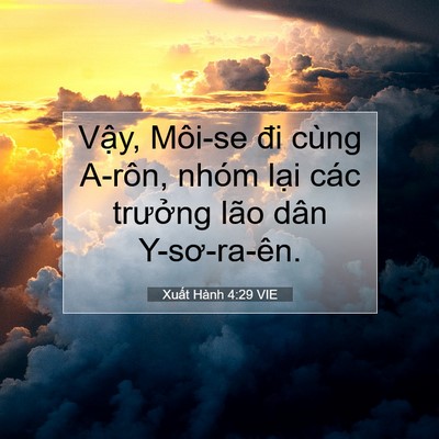 Picture 07 - Xuất Hành 4:29 VIE - Vậy, Môi-se đi cùng A-rôn, nhóm lại các - Bible Verse Picture