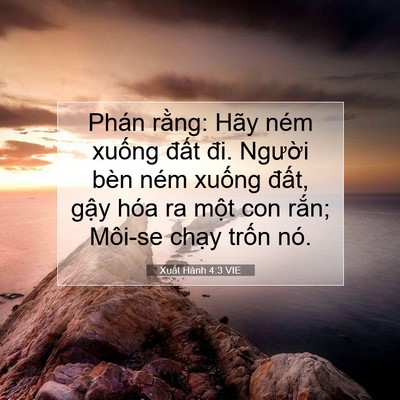 Picture 07 - Xuất Hành 4:3 VIE - Phán rằng: Hãy ném xuống đất đi. - Bible Verse Picture
