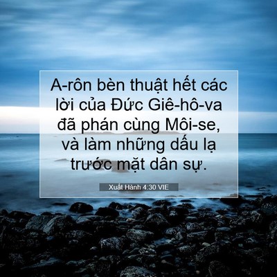 Picture 07 - Xuất Hành 4:30 VIE - A-rôn bèn thuật hết các lời của Đức - Bible Verse Picture