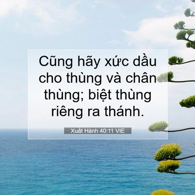 Picture 07 - Xuất Hành 40:11 VIE - Cũng hãy xức dầu cho thùng và chân - Bible Verse Picture