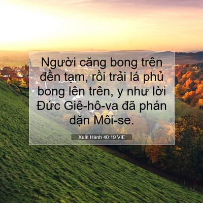 Picture 07 - Xuất Hành 40:19 VIE - Người căng bong trên đền tạm, rồi - Bible Verse Picture