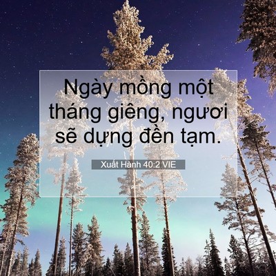 Picture 07 - Xuất Hành 40:2 VIE - Ngày mồng một tháng giêng, ngươi sẽ - Bible Verse Picture