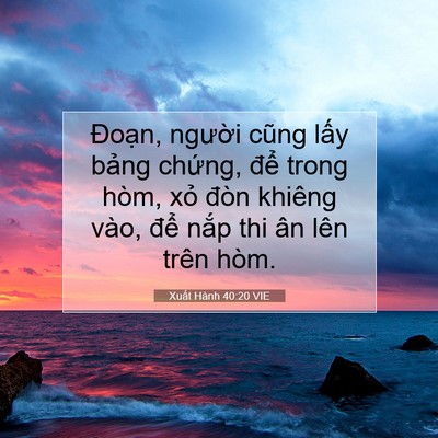 Picture 07 - Xuất Hành 40:20 VIE - Đoạn, người cũng lấy bảng chứng, - Bible Verse Picture