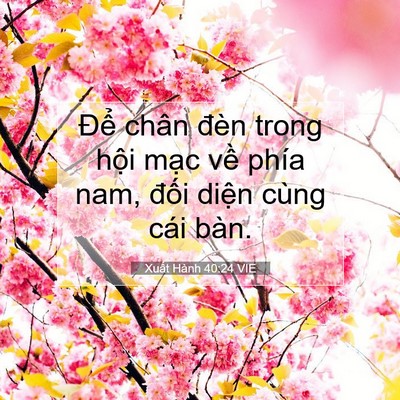 Picture 07 - Xuất Hành 40:24 VIE - Để chân đèn trong hội mạc về phía - Bible Verse Picture