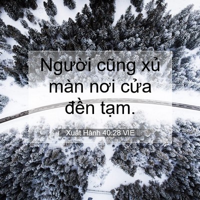 Picture 07 - Xuất Hành 40:28 VIE - Người cũng xủ màn nơi cửa đền - Bible Verse Picture