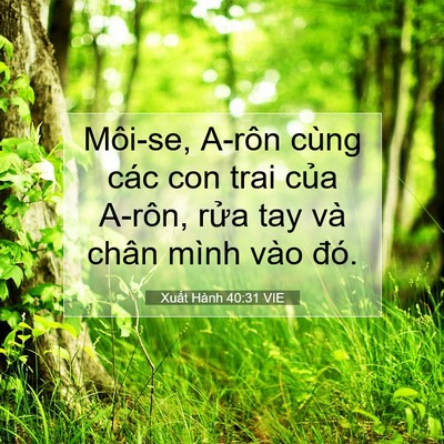 Picture 07 - Xuất Hành 40:31 VIE - Môi-se, A-rôn cùng các con trai của A-rôn, - Bible Verse Picture