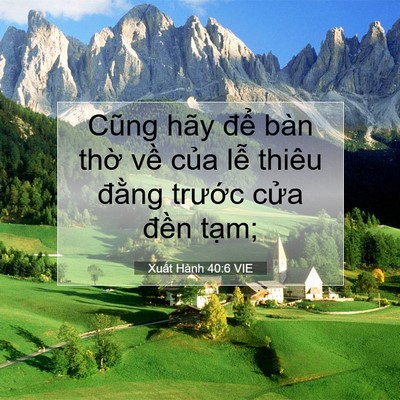 Picture 07 - Xuất Hành 40:6 VIE - Cũng hãy để bàn thờ về của lễ - Bible Verse Picture