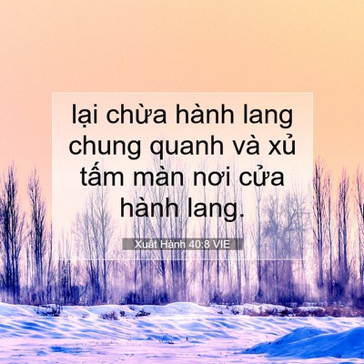 Picture 07 - Xuất Hành 40:8 VIE - lại chừa hành lang chung quanh và xủ - Bible Verse Picture