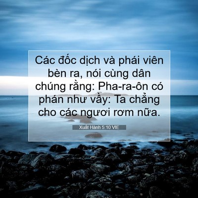 Picture 07 - Xuất Hành 5:10 VIE - Các đốc dịch và phái viên bèn ra, nói - Bible Verse Picture