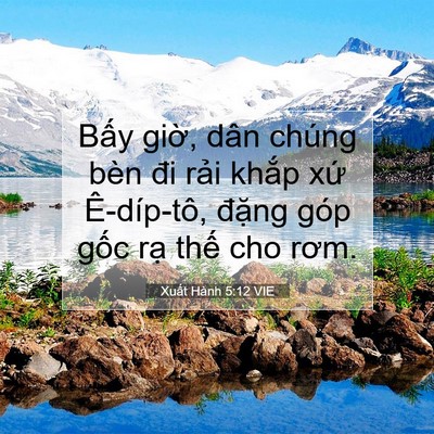 Picture 07 - Xuất Hành 5:12 VIE - Bấy giờ, dân chúng bèn đi rải khắp - Bible Verse Picture