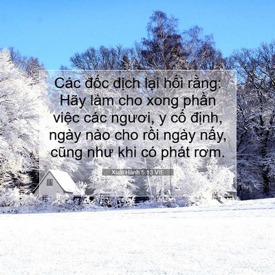 Picture 07 - Xuất Hành 5:13 VIE - Các đốc dịch lại hối rằng: Hãy làm - Bible Verse Picture