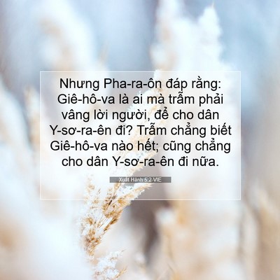 Picture 07 - Xuất Hành 5:2 VIE - Nhưng Pha-ra-ôn đáp rằng: Giê-hô-va là - Bible Verse Picture