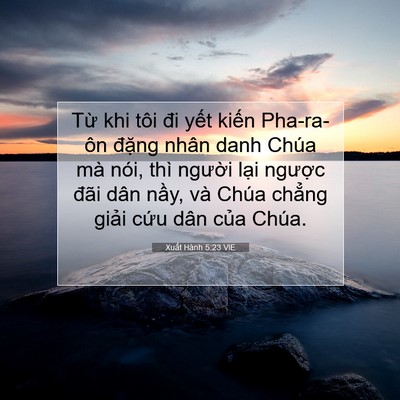 Picture 07 - Xuất Hành 5:23 VIE - Từ khi tôi đi yết kiến Pha-ra-ôn đặng - Bible Verse Picture
