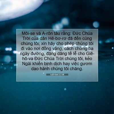 Picture 07 - Xuất Hành 5:3 VIE - Môi-se và A-rôn tâu rằng: Đức Chúa - Bible Verse Picture