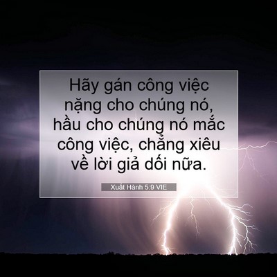 Picture 07 - Xuất Hành 5:9 VIE - Hãy gán công việc nặng cho chúng nó, - Bible Verse Picture