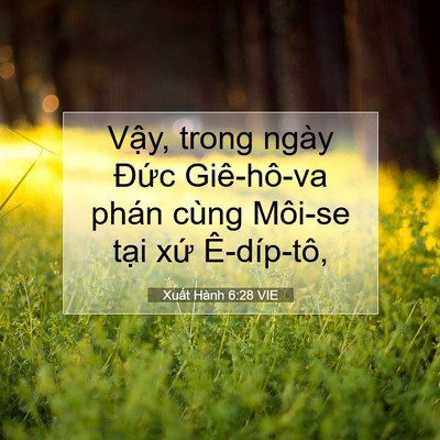 Picture 07 - Xuất Hành 6:28 VIE - Vậy, trong ngày Đức Giê-hô-va phán cùng - Bible Verse Picture