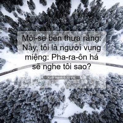 Picture 07 - Xuất Hành 6:30 VIE - Môi-se bèn thưa rằng: Nầy, tôi là - Bible Verse Picture