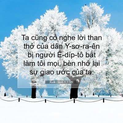Picture 07 - Xuất Hành 6:5 VIE - Ta cũng có nghe lời than thở của dân - Bible Verse Picture