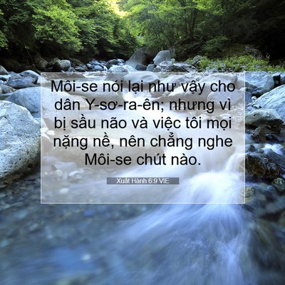 Picture 07 - Xuất Hành 6:9 VIE - Môi-se nói lại như vậy cho dân - Bible Verse Picture