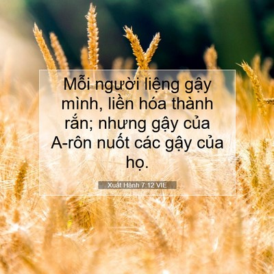 Picture 07 - Xuất Hành 7:12 VIE - Mỗi người liệng gậy mình, liền hóa - Bible Verse Picture