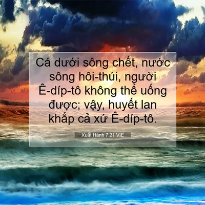 Picture 07 - Xuất Hành 7:21 VIE - Cá dưới sông chết, nước sông - Bible Verse Picture
