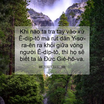 Picture 07 - Xuất Hành 7:5 VIE - Khi nào ta tra tay vào xứ Ê-díp-tô mà - Bible Verse Picture