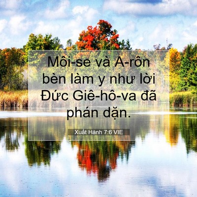 Picture 07 - Xuất Hành 7:6 VIE - Môi-se và A-rôn bèn làm y như lời Đức - Bible Verse Picture
