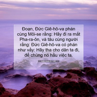 Picture 07 - Xuất Hành 8:1 VIE - Đoạn, Đức Giê-hô-va phán cùng Môi-se - Bible Verse Picture