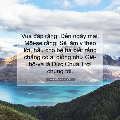 Picture 07 - Xuất Hành 8:10 VIE - Vua đáp rằng: Đến ngày mai. Môi-se - Bible Verse Picture