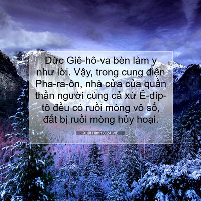 Picture 07 - Xuất Hành 8:24 VIE - Đức Giê-hô-va bèn làm y như lời. Vậy, - Bible Verse Picture