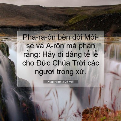 Picture 07 - Xuất Hành 8:25 VIE - Pha-ra-ôn bèn đòi Môi-se và A-rôn mà - Bible Verse Picture