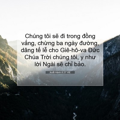Picture 07 - Xuất Hành 8:27 VIE - Chúng tôi sẽ đi trong đồng vắng, - Bible Verse Picture