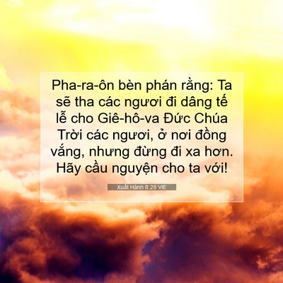 Picture 07 - Xuất Hành 8:28 VIE - Pha-ra-ôn bèn phán rằng: Ta sẽ tha các - Bible Verse Picture