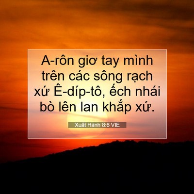 Picture 07 - Xuất Hành 8:6 VIE - A-rôn giơ tay mình trên các sông rạch - Bible Verse Picture