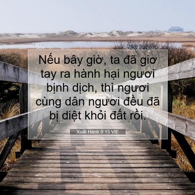 Picture 07 - Xuất Hành 9:15 VIE - Nếu bây giờ, ta đã giơ tay ra hành hại - Bible Verse Picture