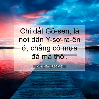 Picture 07 - Xuất Hành 9:26 VIE - Chỉ đất Gô-sen, là nơi dân Y-sơ-ra-ên - Bible Verse Picture