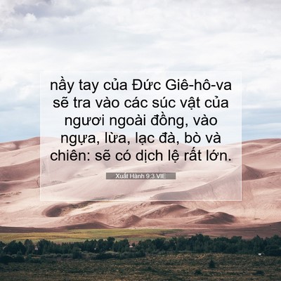 Picture 07 - Xuất Hành 9:3 VIE - nầy tay của Đức Giê-hô-va sẽ tra vào - Bible Verse Picture