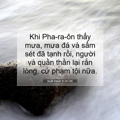 Picture 07 - Xuất Hành 9:34 VIE - Khi Pha-ra-ôn thấy mưa, mưa đá và sấm - Bible Verse Picture