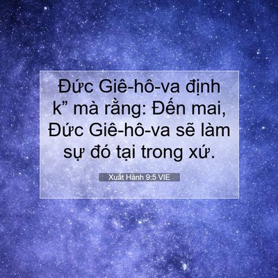 Picture 07 - Xuất Hành 9:5 VIE - Đức Giê-hô-va định k” mà rằng: - Bible Verse Picture