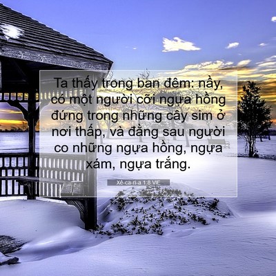 Picture 07 - Xê-ca-ri-a 1:8 VIE - Ta thấy trong ban đêm: nầy, có một - Bible Verse Picture