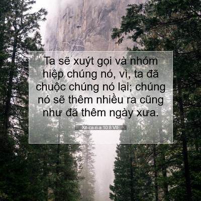 Picture 07 - Xê-ca-ri-a 10:8 VIE - Ta sẽ xuýt gọi và nhóm hiệp chúng nó, - Bible Verse Picture