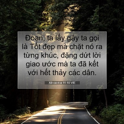 Picture 07 - Xê-ca-ri-a 11:10 VIE - Đoạn, ta lấy gậy ta gọi là Tốt đẹp - Bible Verse Picture