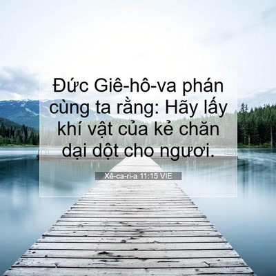Picture 07 - Xê-ca-ri-a 11:15 VIE - Đức Giê-hô-va phán cùng ta rằng: Hãy - Bible Verse Picture