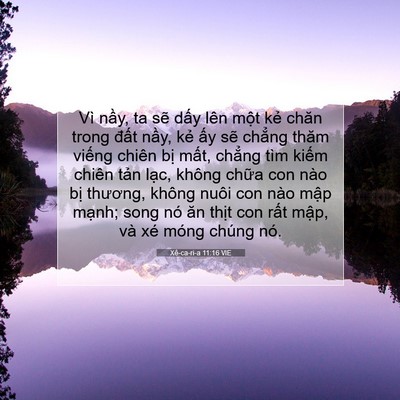 Picture 07 - Xê-ca-ri-a 11:16 VIE - Vì nầy, ta sẽ dấy lên một kẻ chăn - Bible Verse Picture