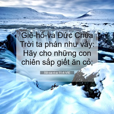 Picture 07 - Xê-ca-ri-a 11:4 VIE - Giê-hô-va Đức Chúa Trời ta phán như - Bible Verse Picture