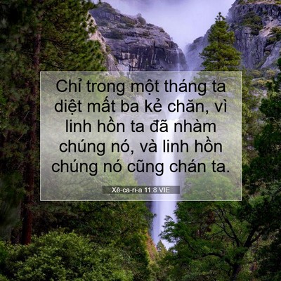 Picture 07 - Xê-ca-ri-a 11:8 VIE - Chỉ trong một tháng ta diệt mất ba kẻ - Bible Verse Picture